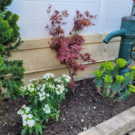 Maison De Pecheur Charmante Et Atypique En Pierre, 1 Min De Marche De La Feriehus *